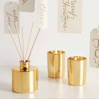 Thymes Frasier Fir Gilded Collection Items